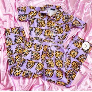 Cheetahs for Cheetahs! Nooworks